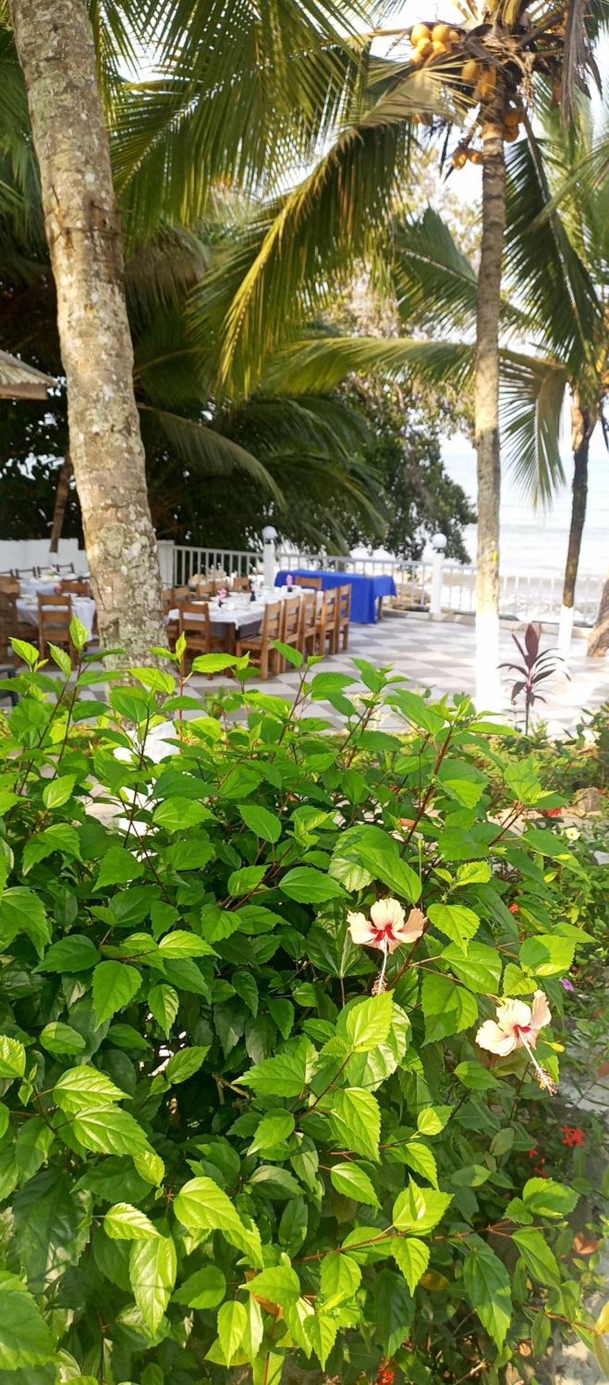 Residence Callens Kribi Exteriér fotografie